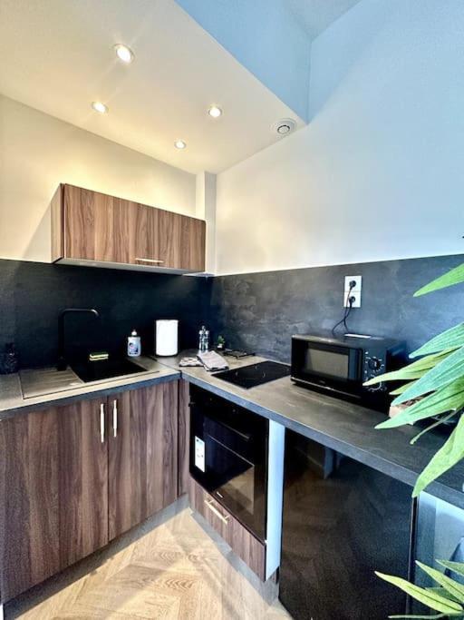 L'Amazonia : Face A La Basilique Parking Gratuit Apartment Boulogne-sur-Mer Ngoại thất bức ảnh