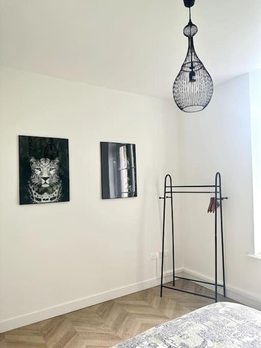 L'Amazonia : Face A La Basilique Parking Gratuit Apartment Boulogne-sur-Mer Ngoại thất bức ảnh